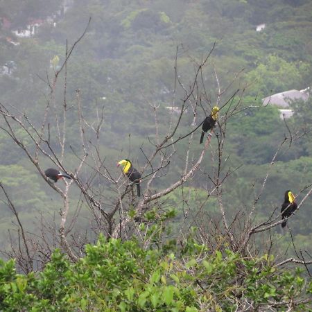 Ziruma El Valle de Anton 外观 照片